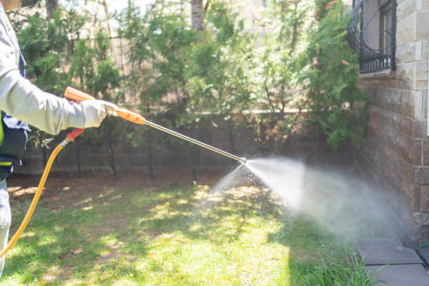 Best Termite Control Services  in Elgin, OR