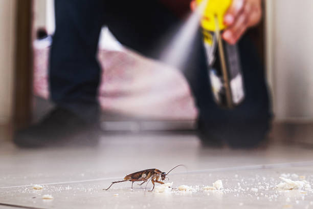 Pest Control for Restaurants in Elgin, OR