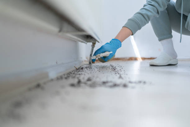 Best Pest Control Near Me in Elgin, OR