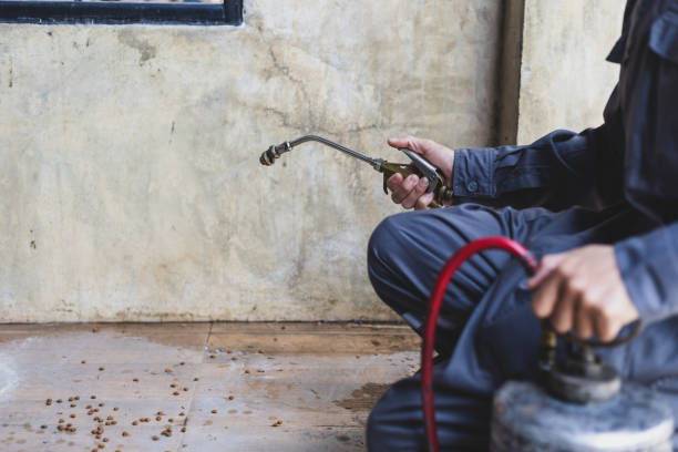 Best Local Pest Control Services  in Elgin, OR